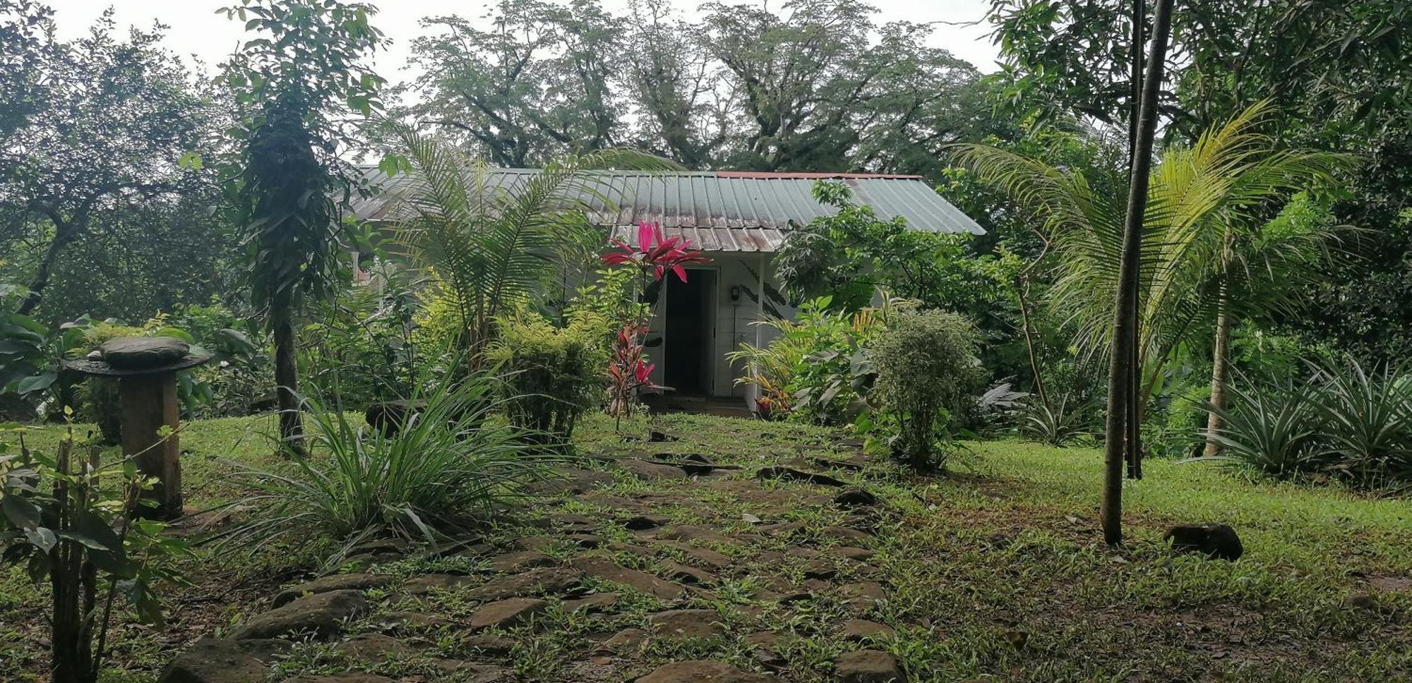 Willa Casa De Andrea Santo António Zewnętrze zdjęcie