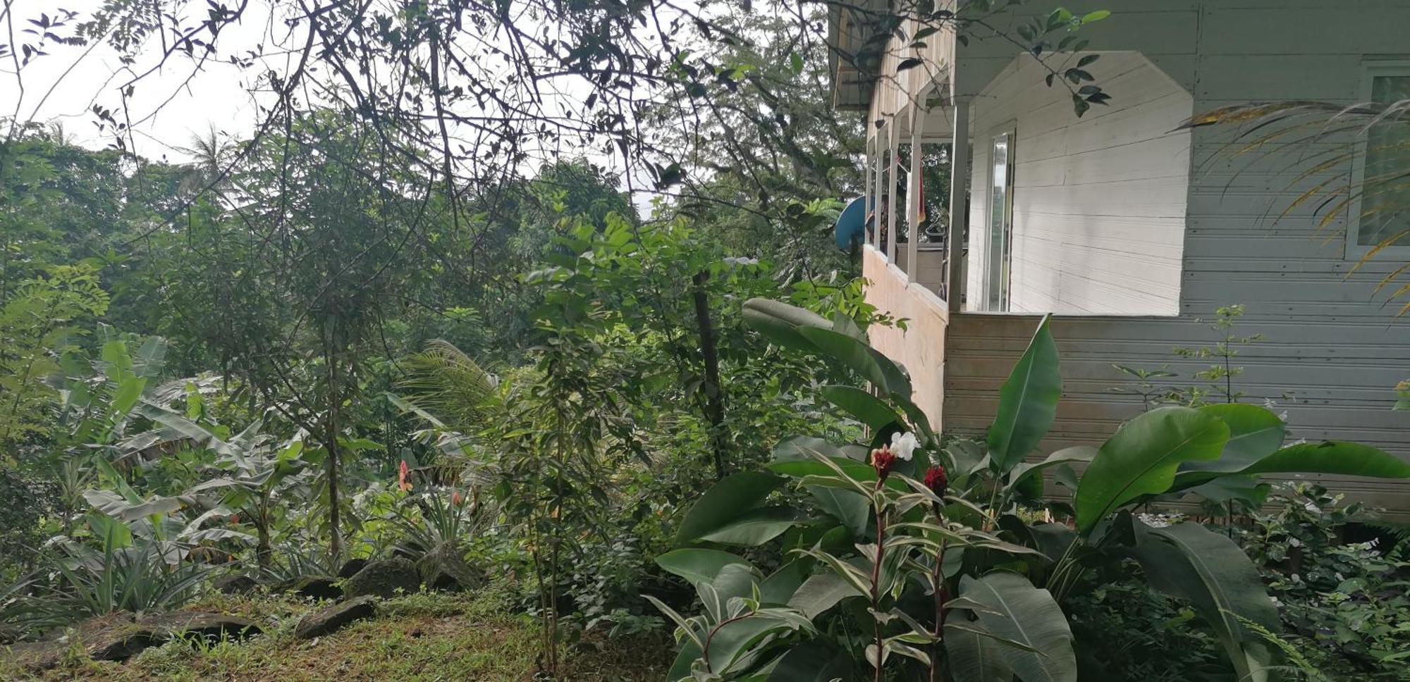 Willa Casa De Andrea Santo António Zewnętrze zdjęcie