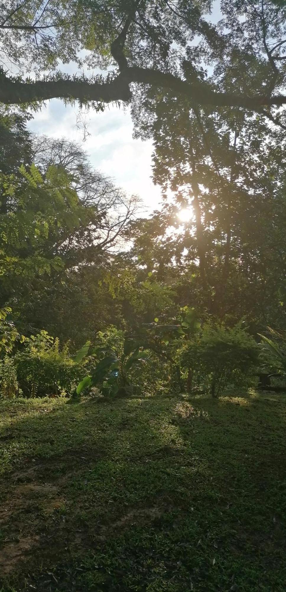Willa Casa De Andrea Santo António Zewnętrze zdjęcie